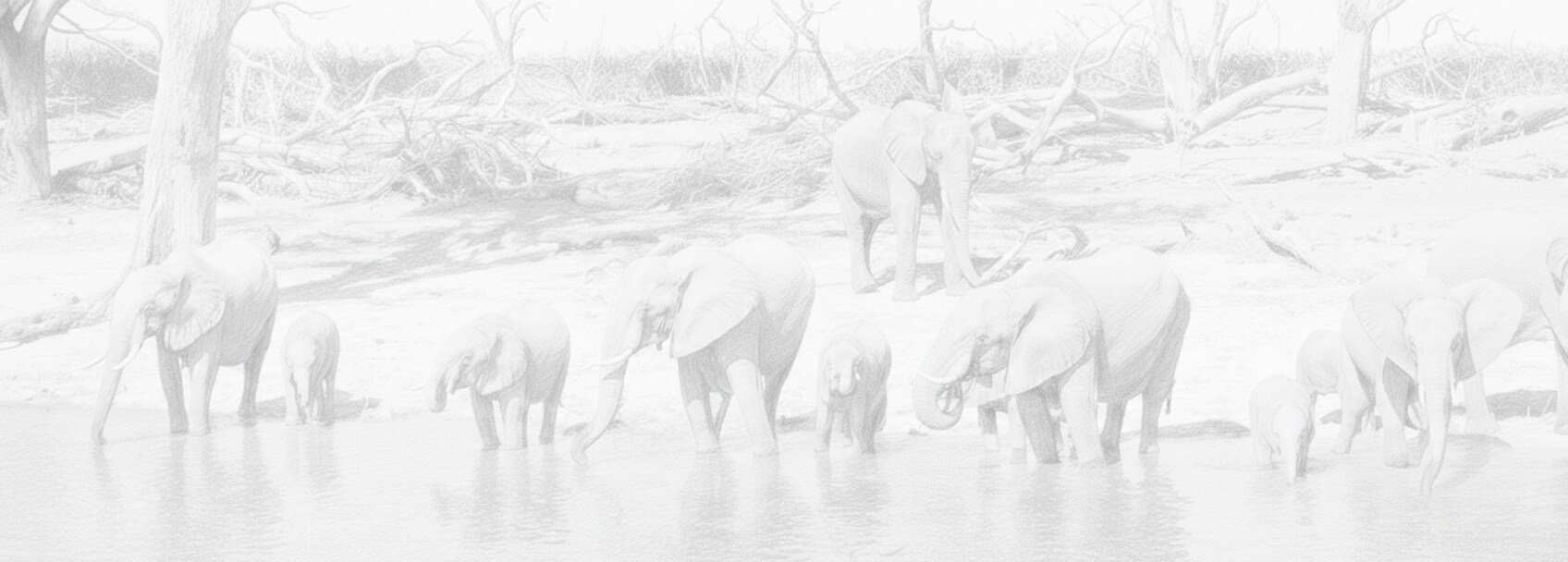 Solicitud de visa y requisitos Botswana